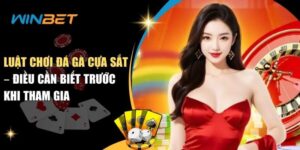 Luật Chơi Đá Gà Cựa Sắt – Kinh Nghiệm Thi Đấu luật chơi đá gà cựa sắt