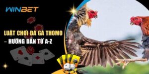 Luật Chơi Đá Gà Thomo – Hướng Dẫn Cho Người Mới luật chơi đá gà thomo
