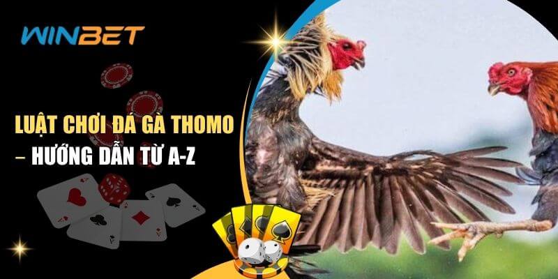 Luật Chơi Đá Gà Thomo – Hướng Dẫn Cho Người Mới luật chơi đá gà thomo