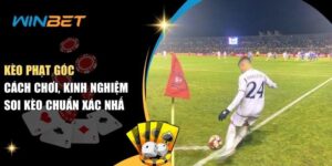 Kèo phạt góc - Top kèo cược thịnh hành nhất trong cá cược Kèo phạt góc