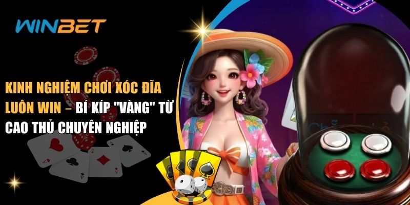 Kinh nghiệm chơi xóc đĩa luôn win – Bí kíp "vàng" từ cao thủ chuyên nghiệp kinh nghiệm chơi xóc đĩa luôn Win