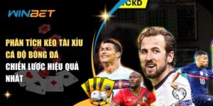 Phân tích kèo tài xỉu cá độ bóng đá với chiến lược hiệu quả phan tich keo tai xiu ca do bong da chien luoc hieu qua nhat