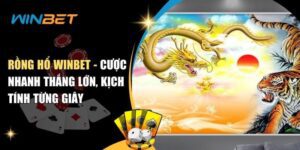 Rồng hổ Winbet - Cược nhanh thắng lớn, kịch tính từng giây rồng hổ Winbet